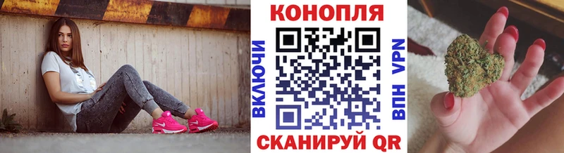 Каннабис сатива  Купить где  Нижнеудинск 